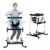 DIPDA Trainer – Standing Gait Trainer, Exercise for Senior with Safety Belt and Cushion with Training Video.