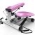 JINDEN Step Fitness Machines, Sunny Health and Fitness Adjustable Mini Stair Stepper Exercise Equipment Step Machine with Twisting Action Pedal Machine with Drawstring Led Count Display