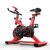 PUW Exercise Bikes,Spinning Bikes Indoor Fitness Equipment Gym Materials Weight Loss Adjustable Speed Adjustable Seats Adjustable Ultra-Low Noise,Red