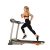 Sunny Health & Fitness SF-T7603 Electric Treadmill